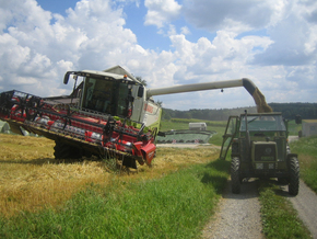 Hirt Agro, Andelfingen - Maschinen an der Arbeit