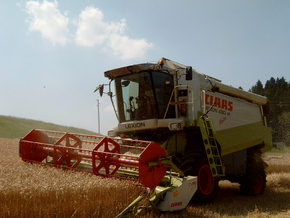 Hirt Agro, Andelfingen - Maschinen an der Arbeit