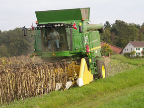 Hirt Agro, Andelfingen - Sonnenblumenernte