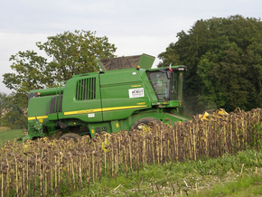 Hirt Agro, Andelfingen - Sonnenblumenernte