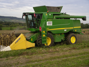 Hirt Agro, Andelfingen - Sonnenblumenernte