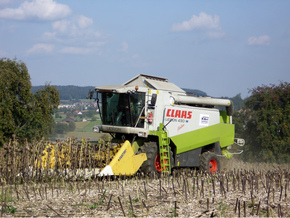 Hirt Agro, Andelfingen - Sonnenblumenernte