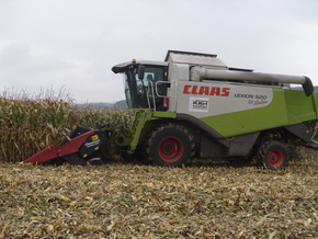 Hirt Agro, Andelfingen - Maisernte