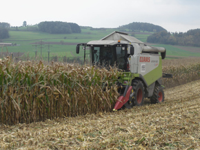 Hirt Agro, Andelfingen - Maisernte