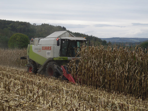 Hirt Agro, Andelfingen - Maisernte