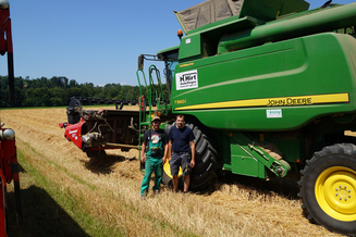 Hirt Agro, Andelfingen - Weizenernte