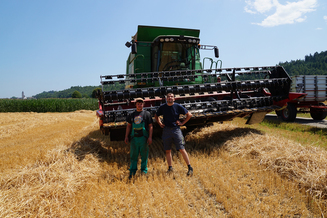 Hirt Agro, Andelfingen - Weizenernte