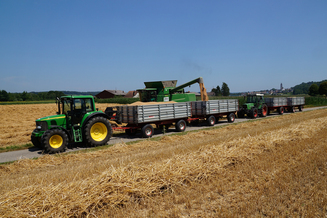 Hirt Agro, Andelfingen - Weizenernte