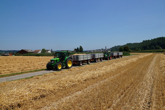 Hirt Agro, Andelfingen - Weizenernte