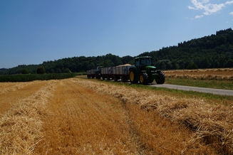 Hirt Agro, Andelfingen - Weizenernte