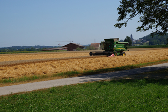 Hirt Agro, Andelfingen - Weizenernte