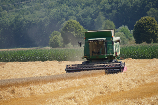 Hirt Agro, Andelfingen - Weizenernte