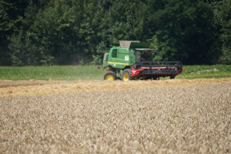 Hirt Agro, Andelfingen - Weizenernte