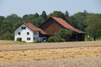 Hirt Agro, Andelfingen - Weizenernte