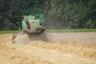 Hirt Agro, Andelfingen - Weizenernte