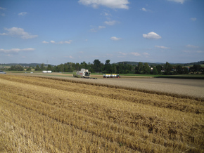 Hirt Agro, Andelfingen - beim Dreschen