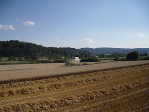 Hirt Agro, Andelfingen - beim Dreschen