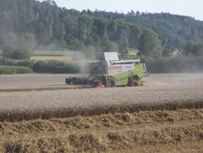 Hirt Agro, Andelfingen - beim Dreschen