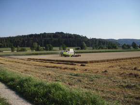 Hirt Agro, Andelfingen - beim Dreschen