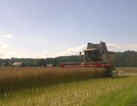 Hirt Agro, Andelfingen - Maschinen an der Arbeit