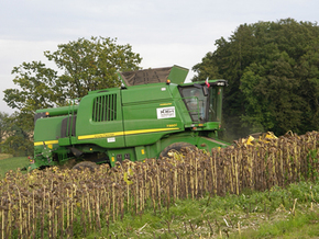 Hirt Agro, Andelfingen - Maschinen an der Arbeit